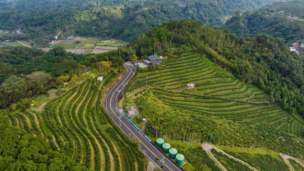 Darjeeling hill road tea garden aerial view by tour operator in siliguri